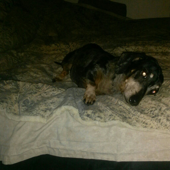 Meet your Posher, Sunshine - Picture 5 of 8